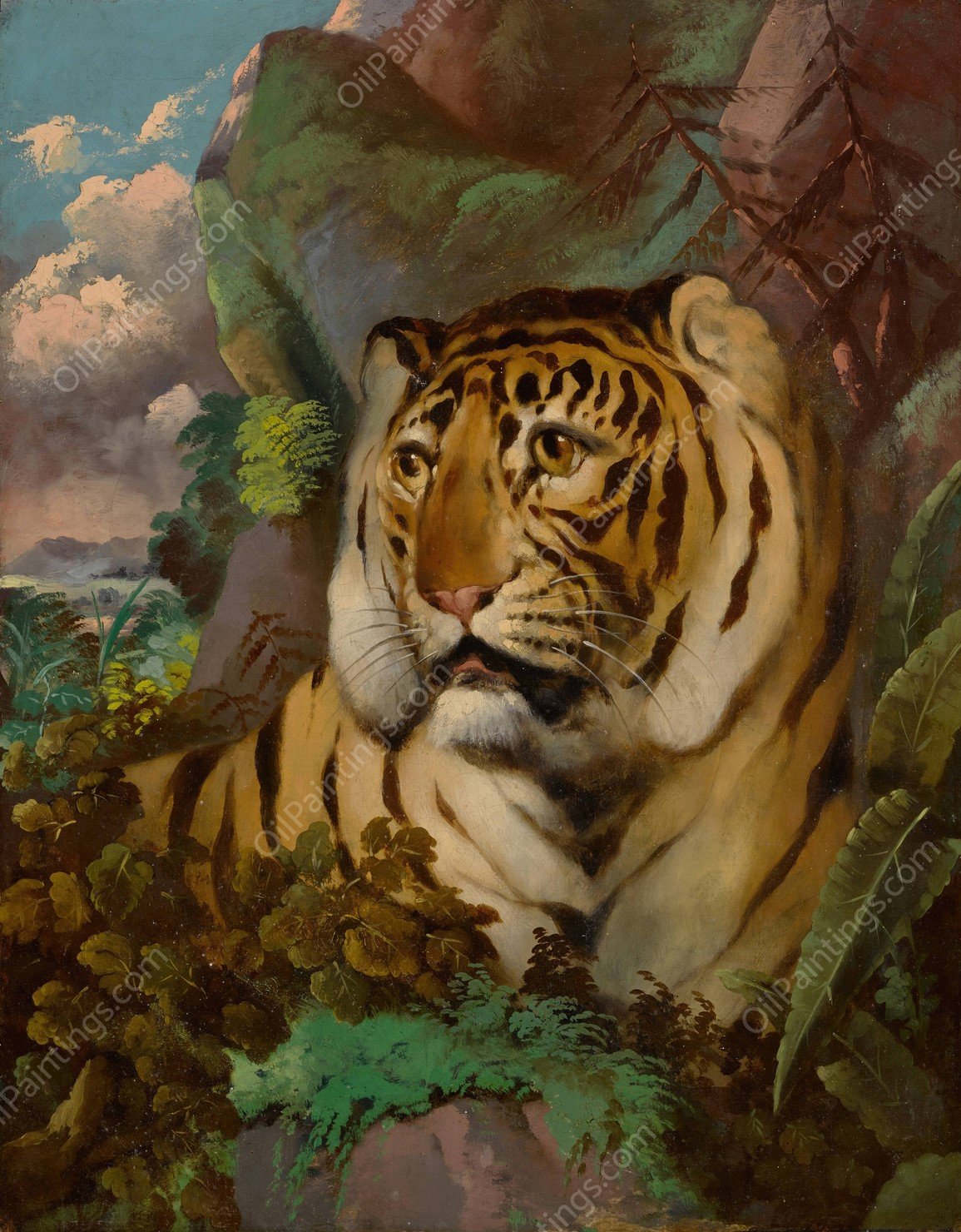 Portrait of a Tiger by William Huggins - Hand-Painted Oil Painting Reproduction