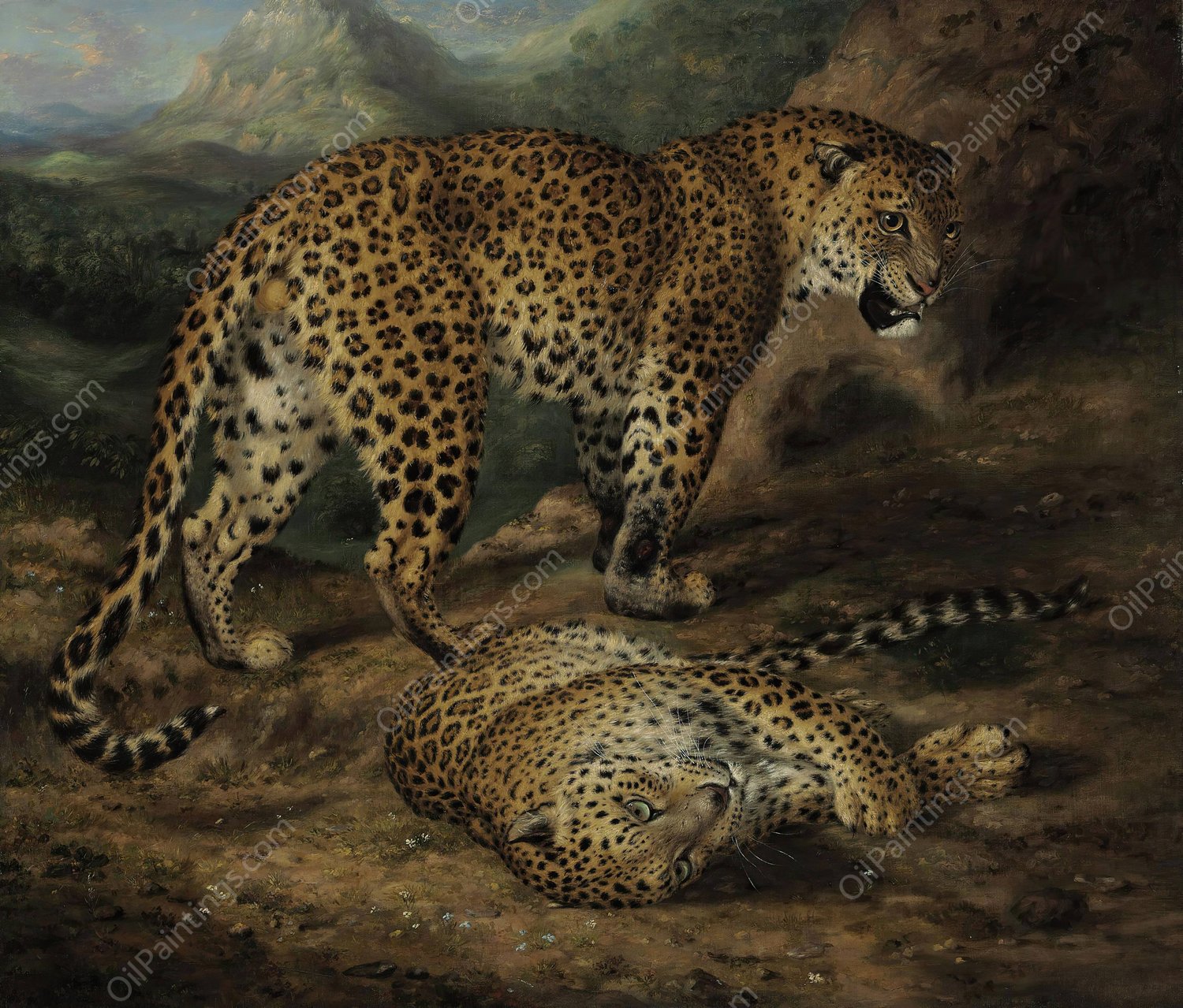 Two leopards by William Huggins - Hand-Painted Oil Painting Reproduction
