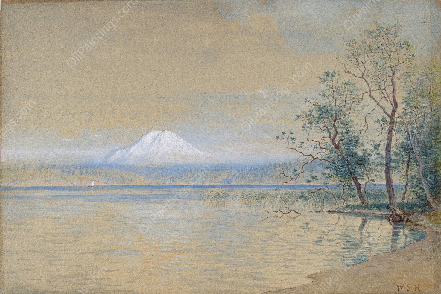 Mount Tacoma  by William Stanley Haseltine - Hand-Painted Oil Painting Reproduction