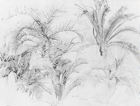 Palms by William Trost Richards - Hand-Painted Oil Painting Reproduction