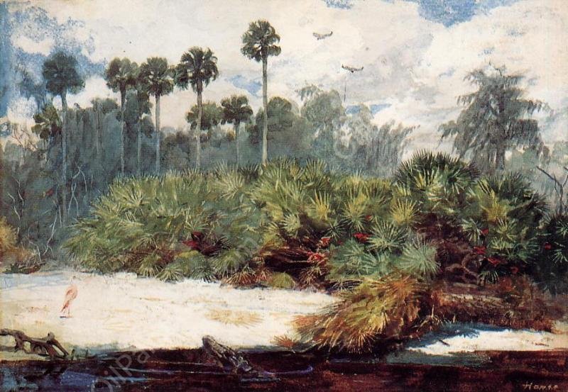 In a Florida Jungle by Winslow Homer - Hand-Painted Oil Painting Reproduction