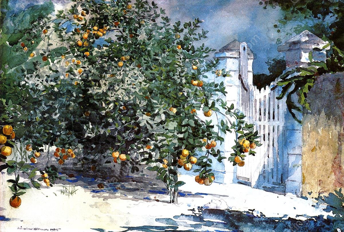 Orange Tree, Nassau also known as Orange Trees and Gate by Winslow Homer - Hand-Painted Oil Painting Reproduction