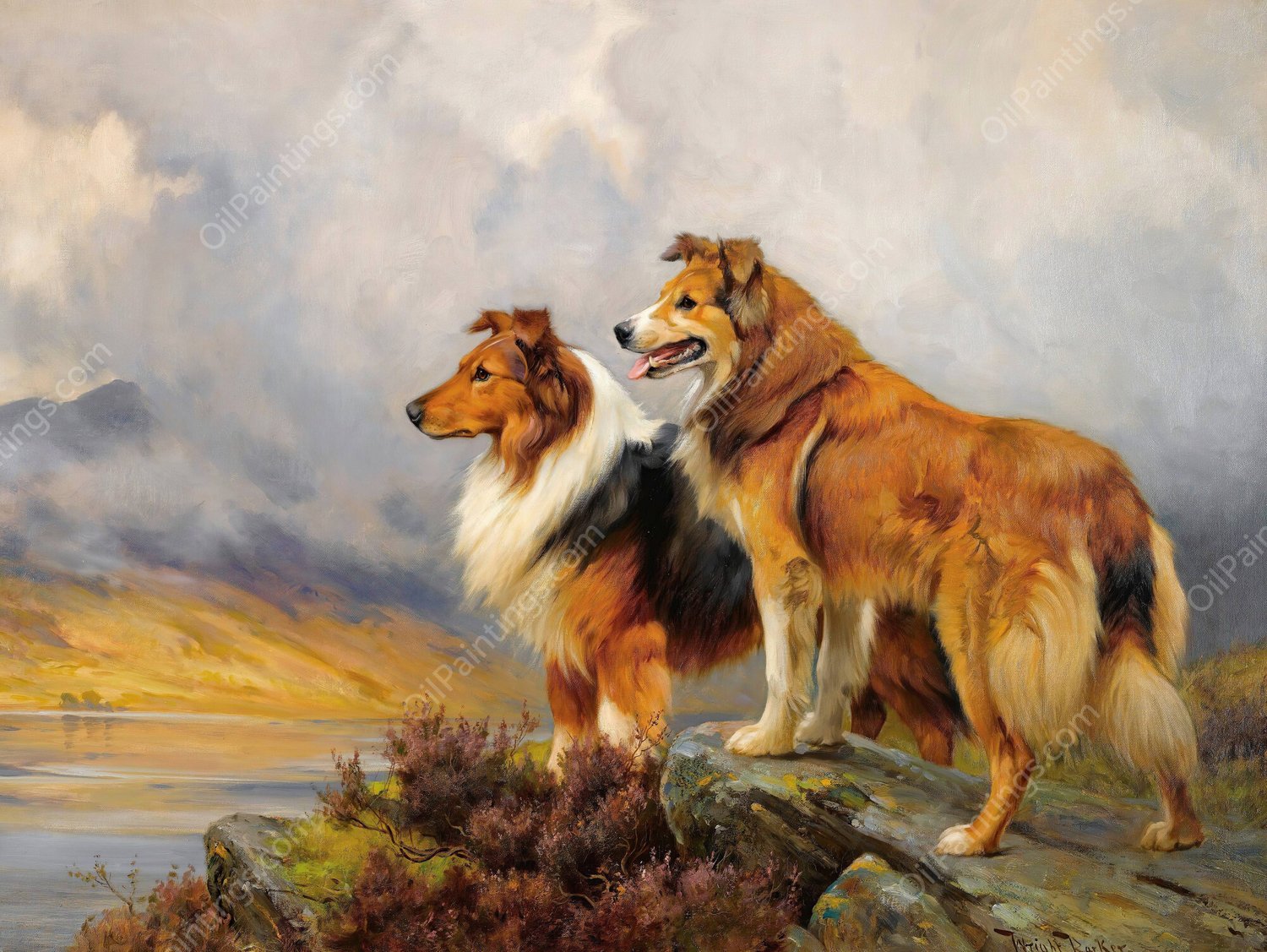 Two Collies Above A Lake by Wright Barker - Hand-Painted Oil Painting Reproduction