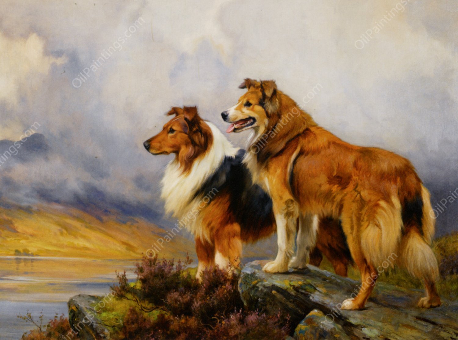 Two Collies Above a Lake by Wright Barker - Hand-Painted Oil Painting Reproduction