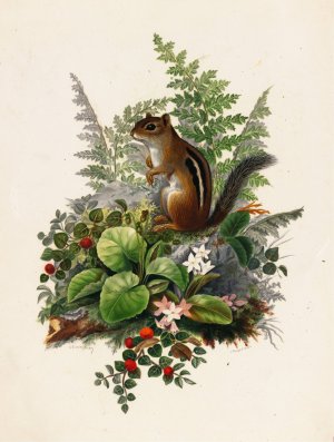 Chipmunk by Olive E Whitney Oil Painting