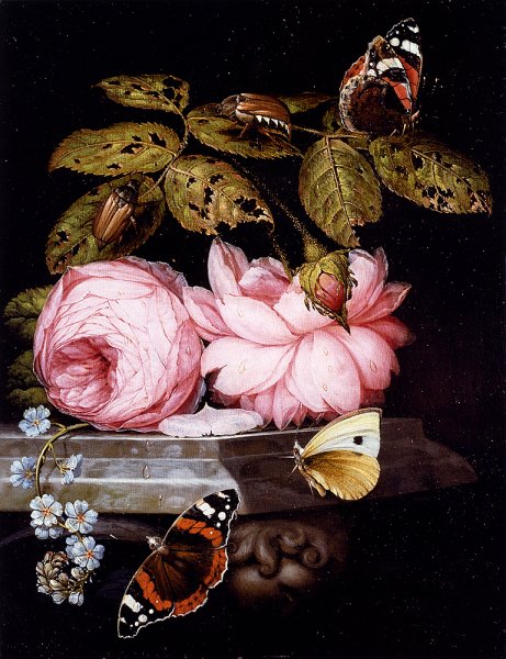Main Product Photo of A Still Life With Sprigs Of Guelder Rose And Forget Me Not Resting On A Sculpted Marble Ledge, And Red Admiral Butterflies And A Cabbage White, And Large Bugs Painting by Ottmar Elliger The Elder