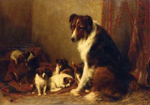 A Collie and Her Puppies