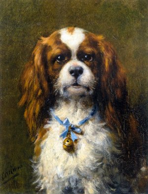 A King Charles Spaniel with a Blue Ribon