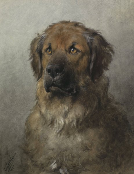 Head of a Leonberger  by Otto Eerelman - Hand-Painted Oil Painting Reproduction
