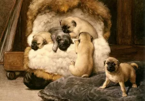 Nest Met Jonge Mastiffs by Otto Eerelman Oil Painting