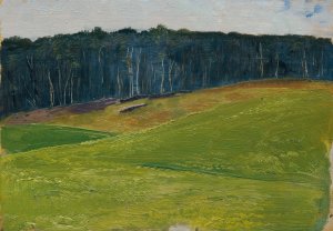 Hellgrune Wiese Gegen Dunkle Waldlisiere by Otto Friedrich Oil Painting