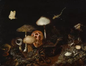 Reptiles, Mushrooms and Butterflies by Otto Marseus Van Schrieck Oil Painting