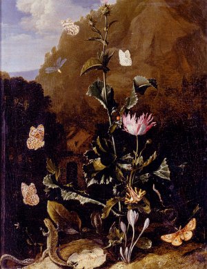 Still Life of a Thistle and Other Flowers Surrounded by Moths, a Dragonfly, a Lizard, and a Snake, in a Landscape