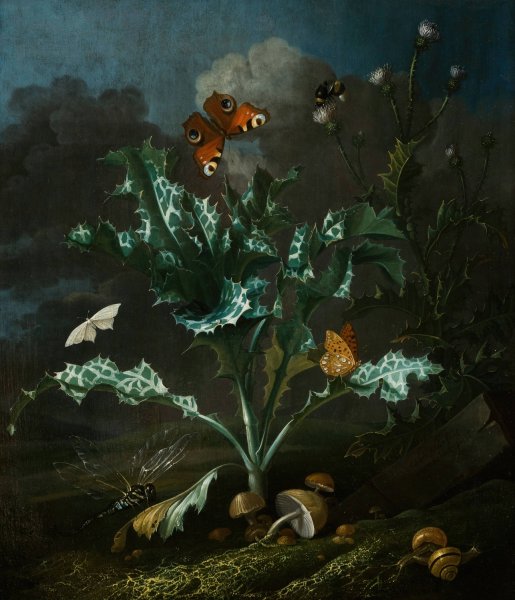 Thistles and Butterflies by Otto Marseus Van Schrieck - Hand-Painted Oil Painting Reproduction