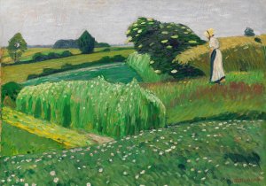 Sommerliche Wiesen bei Fischerhude by Otto Modersohn Oil Painting