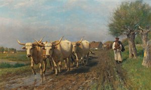 Ungarischer Bauer mit Steppenrindern by Otto Von Thoren Oil Painting