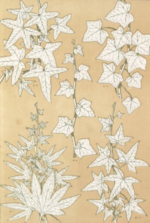 Leaves from Nature No.3 by Owen Jones Oil Painting