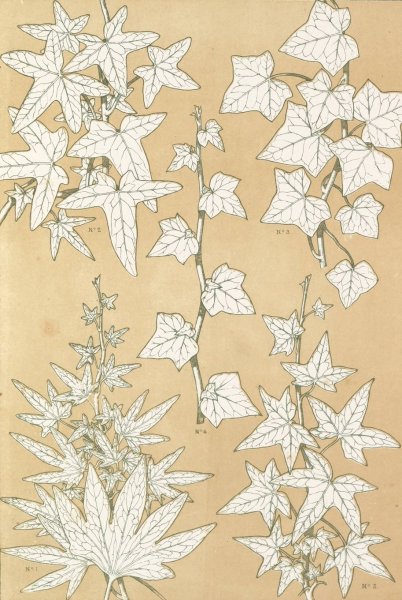 Leaves from Nature No.3  by Owen Jones - Hand-Painted Oil Painting Reproduction