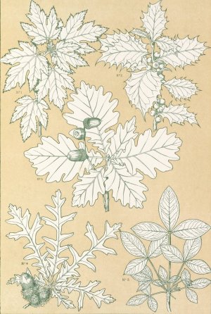 Leaves from Nature No.5 by Owen Jones Oil Painting