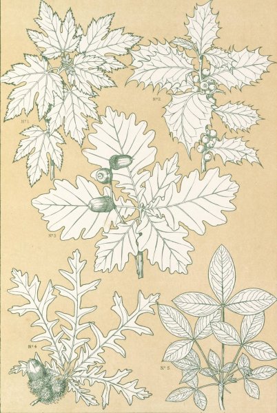 Leaves from Nature No.5  by Owen Jones - Hand-Painted Oil Painting Reproduction