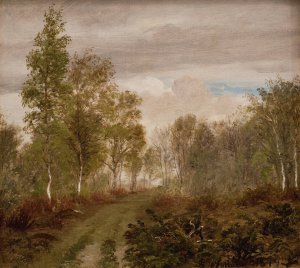 Birketraeer pa Laeso efter regn Oil painting by P. C. Skovgaard