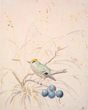 En fuglekonge pa en slaengren by P. C. Skovgaard Oil Painting