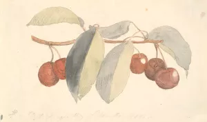En gren med paradisaebler by P. C. Skovgaard Oil Painting