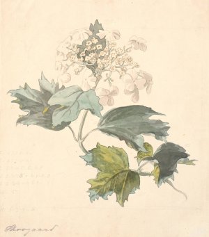 Kalkved Oil painting by P. C. Skovgaard