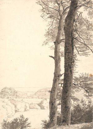 Landskab ved Skarritso med to hoje traeer, boge, i forgrunden by P. C. Skovgaard Oil Painting