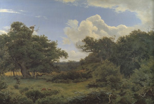 Oak Trees in Nordskoven near Jaegerspris, Zealand  by P. C. Skovgaard - Hand-Painted Oil Painting Reproduction