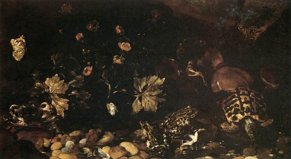Main Product Photo of Still-Life with a Snake, Frogs, Tortoise and a Lizard Painting by Paolo Porpora