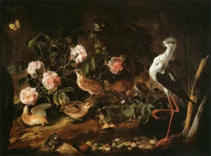 Still-Life with an Owl and an Ibis by Paolo Porpora Oil Painting