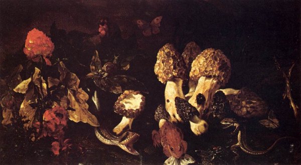 Main Product Photo of Still-Life with Fungi Painting by Paolo Porpora