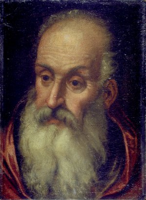 Head of an Old Bearded Man