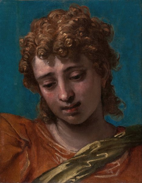 Head of Saint Michael, from the Petrobelli Altarpiece  by Paolo Veronese - Hand-Painted Oil Painting Reproduction