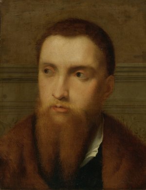 Portrait Of A Bearded Man, Head And Shoulders, In An Interior by Paris Bordone Oil Painting