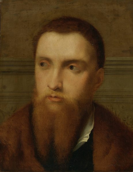 Portrait Of A Bearded Man, Head And Shoulders, In An Interior by Paris Bordone - Hand-Painted Oil Painting Reproduction