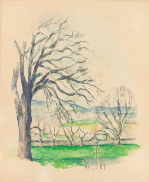 Main Product Photo of Arbre Depouille Au Jas De Bouffan Painting by Paul Cezanne