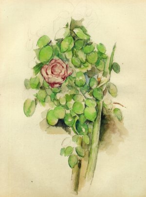 Rose Bush by Paul Cezanne Oil Painting