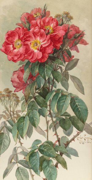 Branches of Ragged Robin Roses by Paul De Longpre Oil Painting