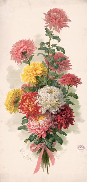 Main Product Photo of Chrysanthemums  Painting by Paul De Longpre