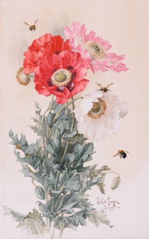 Poppies and Bees by Paul De Longpre Oil Painting