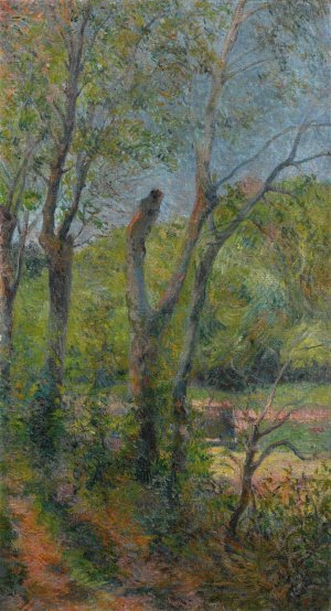 Les Saules by Paul Gauguin Oil Painting
