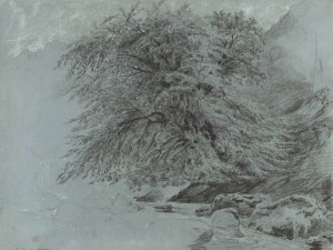 A Wild Beech in Full Leaf by Paul Huet Oil Painting