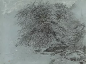 A Wild Beech in Full Leaf by Paul Huet Oil Painting