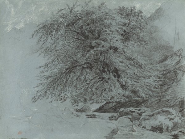A Wild Beech in Full Leaf  by Paul Huet - Hand-Painted Oil Painting Reproduction