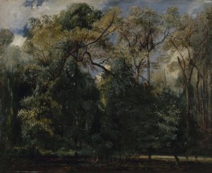Les ormes de Saint-Cloud by Paul Huet Oil Painting