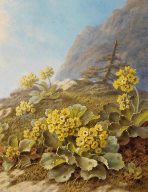 Primula Auricula, Cowslips by Pauline Halm-Flechner Oil Painting