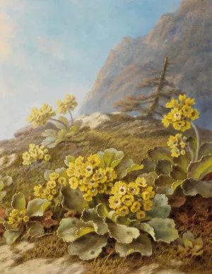 Primula Auricula, Cowslips by Pauline Halm-Flechner Oil Painting