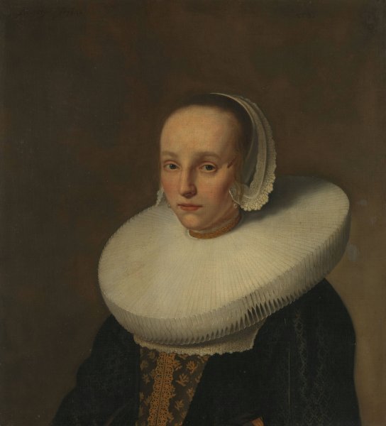 Main Product Photo of Portrait of Anna van der Does  Painting by Paulus Hennekyn